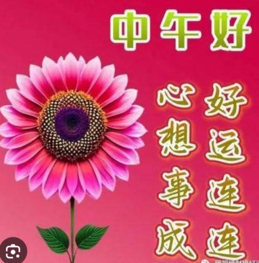 朋友午安，
   好運連連！...