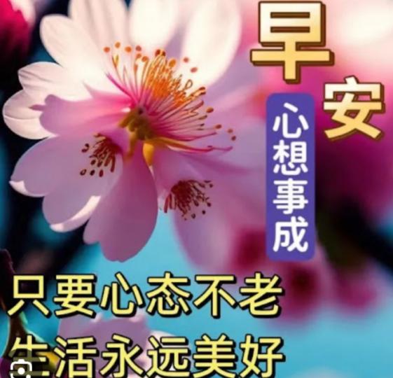 心態不老，
   年輕美好！...