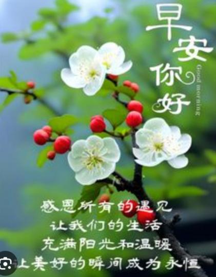 感恩溫暖陽光，
    生活安康！...