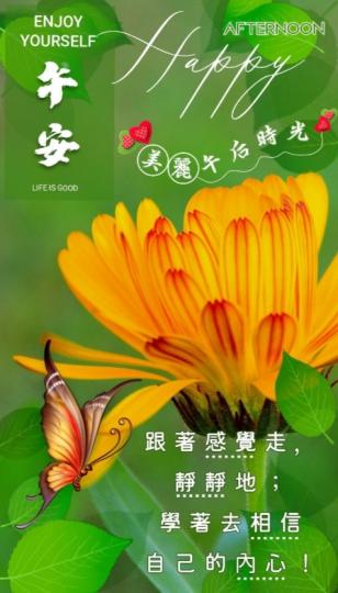 相信內心，
  跟著感覺走！
  午安！...