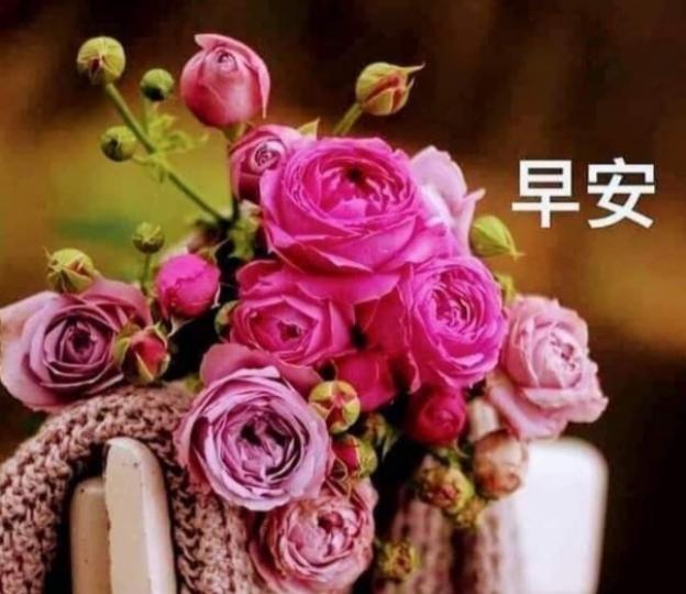 平安喜樂，
  幸福安康！...