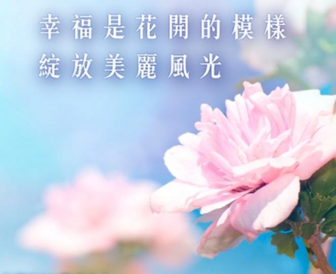 綻放的花朵,
     迎接著幸福！...