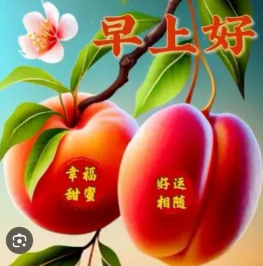 幸福甜蜜,
      早上好！...