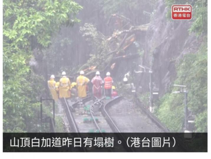 運輸署：山頂纜車及城巴15C線仍暫停服務...