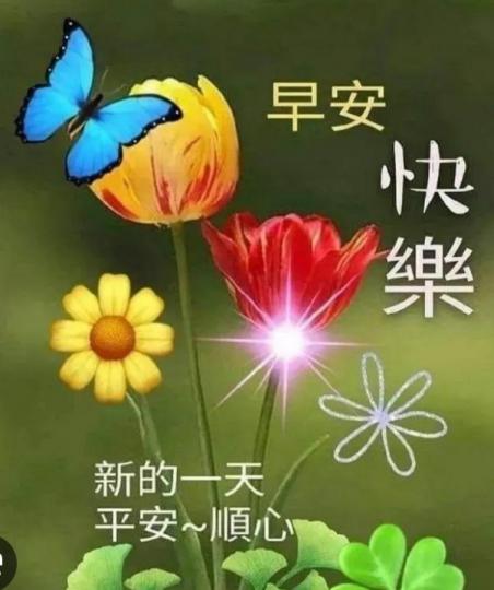 祝願平安,
      幸福, 快樂！...