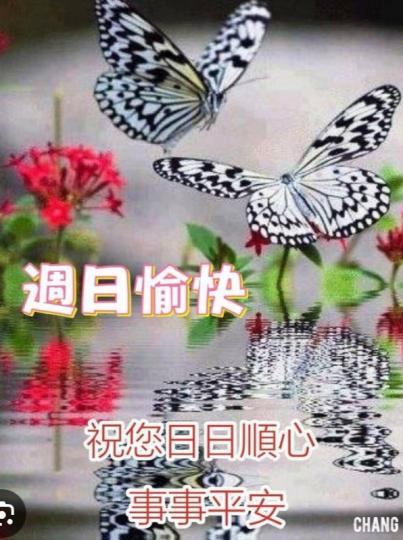 周日愉快,
     朋友好！...