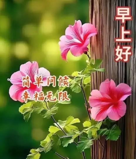 珍惜幸福，
                  美好！...