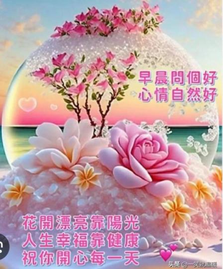 花開漂亮靠陽光，
     人生幸福要健康！...
