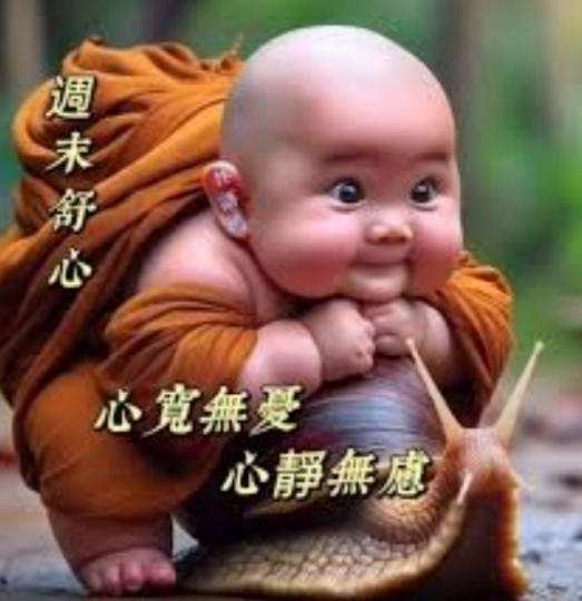 心寬無憂,
        心靜無慮！...