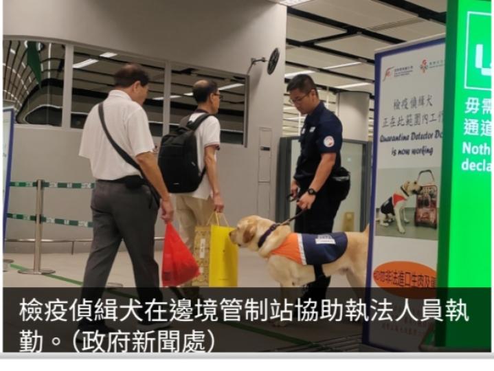 當局安排檢疫偵緝犬在陸路口岸協助打擊非法攜帶受規管食物入境...