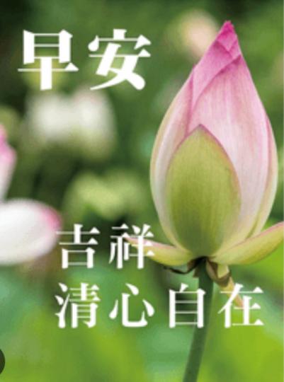早安, 吉祥,
           清心自在！...
