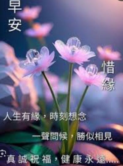 真誠祝福：
      健康平安！...