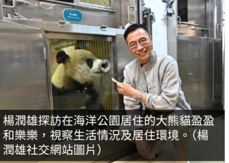 楊潤雄稱中央贈送大熊貓顯示對香港厚愛　料為旅遊業注入動力...