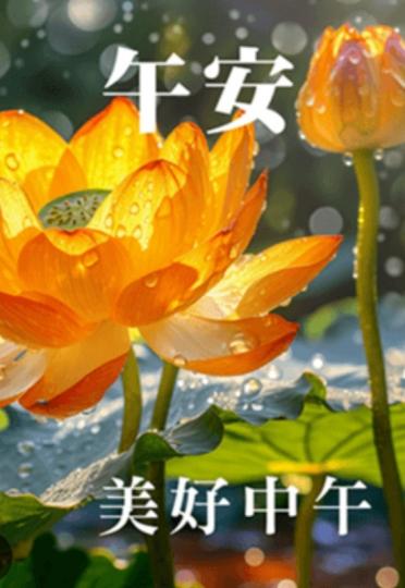 朋友午安！
       輕鬆愉快！...