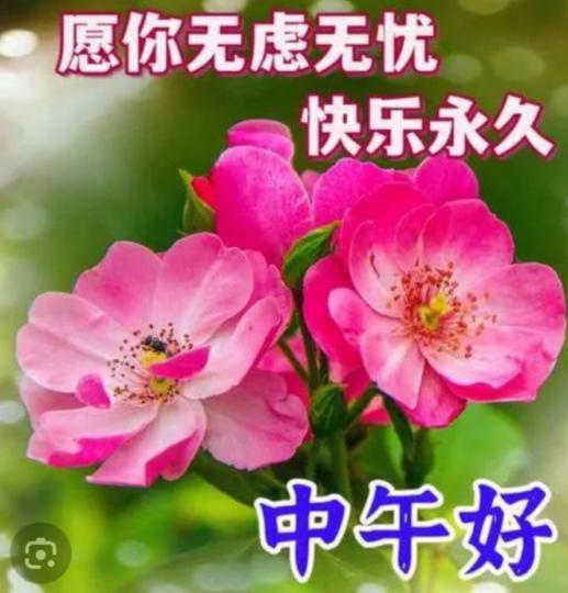 無憂無慮，
       朋友午安！...