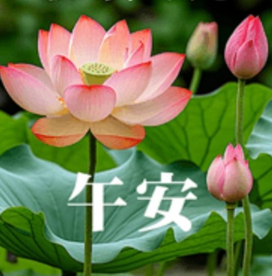 輕鬆時刻，
           朋友午安！...