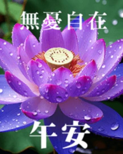 無憂自在,
           朋友們午安！...