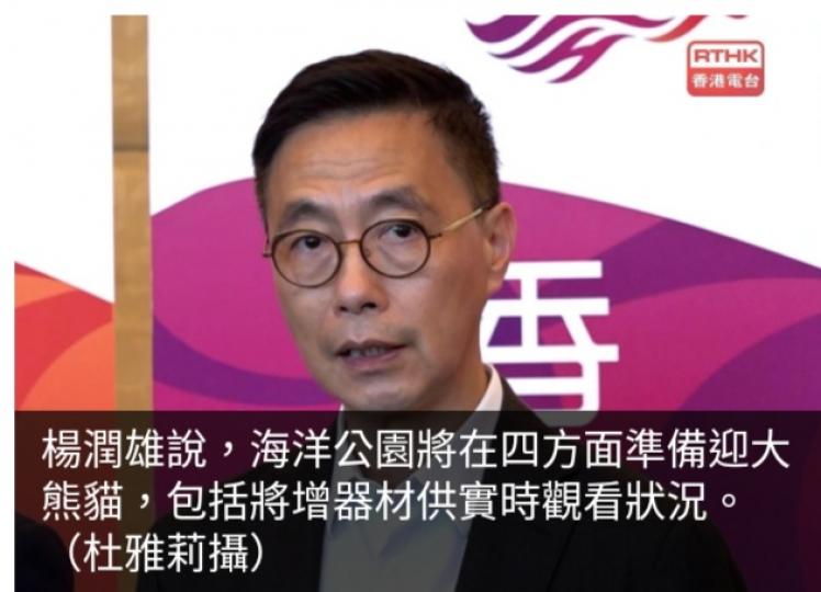楊潤雄稱海洋公園四方面準備迎大熊貓　將增器材供實時觀看狀況...