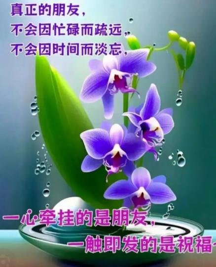 幸福，安康，
    愉快，開朗！...
