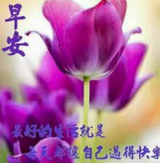 自在，無憂，
         如意，安康！...