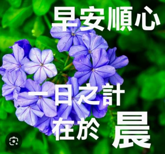 生活美麗，
      清新順意！...