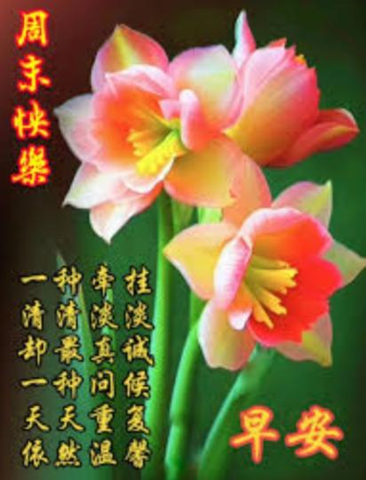 真誠祝福，
     愉快滿足！...