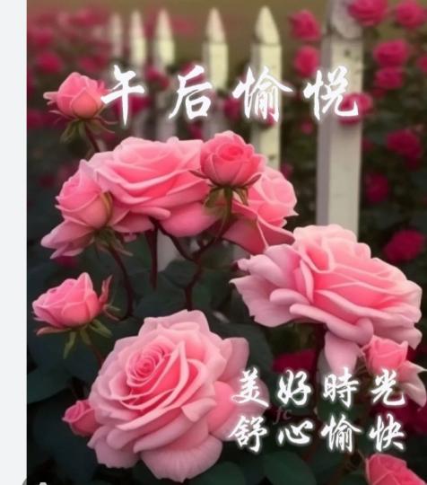 美好的時光,
      幸福安康！...