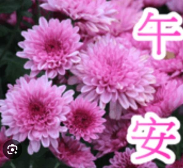祝福滿滿，
        平平安安！...