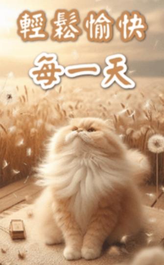 毌懼風雨，
            輕鬆愉快！...