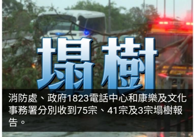 風暴期間當局收119宗塌樹報告　9人受傷到公立醫院求醫...