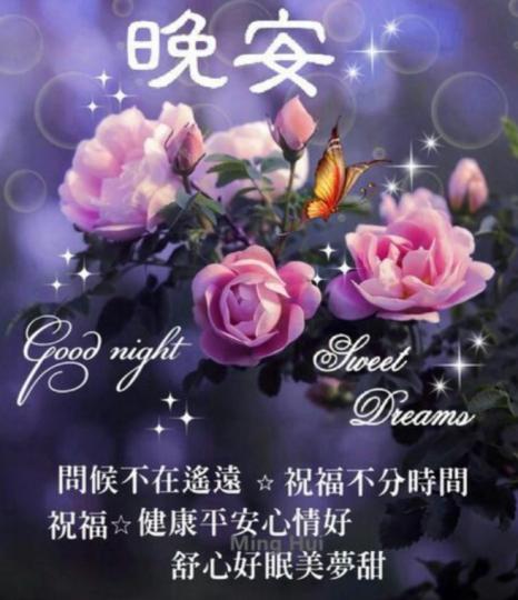舒心，美夢，
                    晚安！...