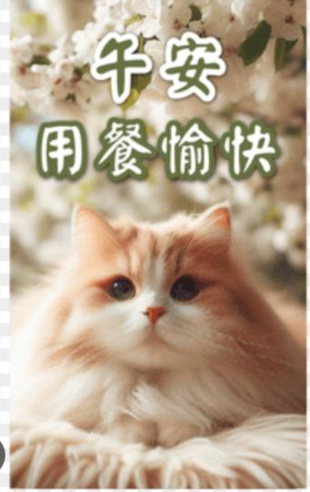 午安,
          用餐愉快！...