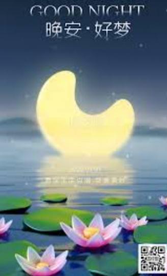 晚安！
                      朋友！...