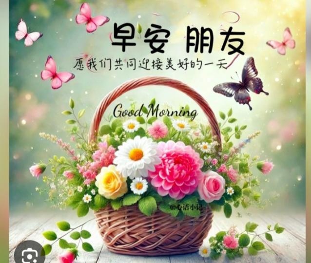 開心愉快
                 迎清早！...