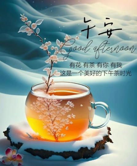 美好
                的下午！...