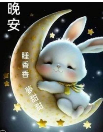 朋友,
              晚安！...