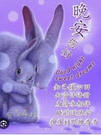 朋友們
                 晚安！...