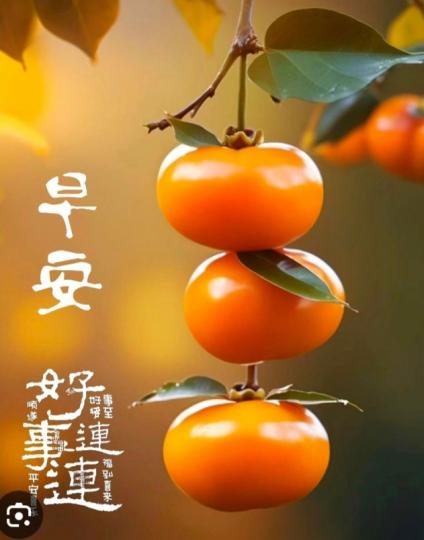 好運連連！
                  早  安！...