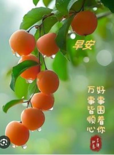 順心
               如意！...