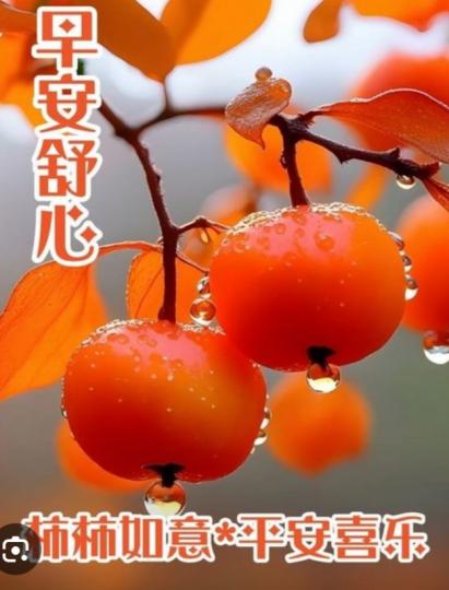平安
                喜樂！...