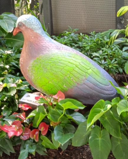 靜靜
                    的鳥！...