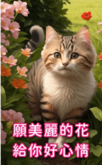 快樂,
                          美好！...