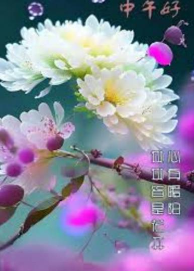 陽光燦爛,
                中午好！...