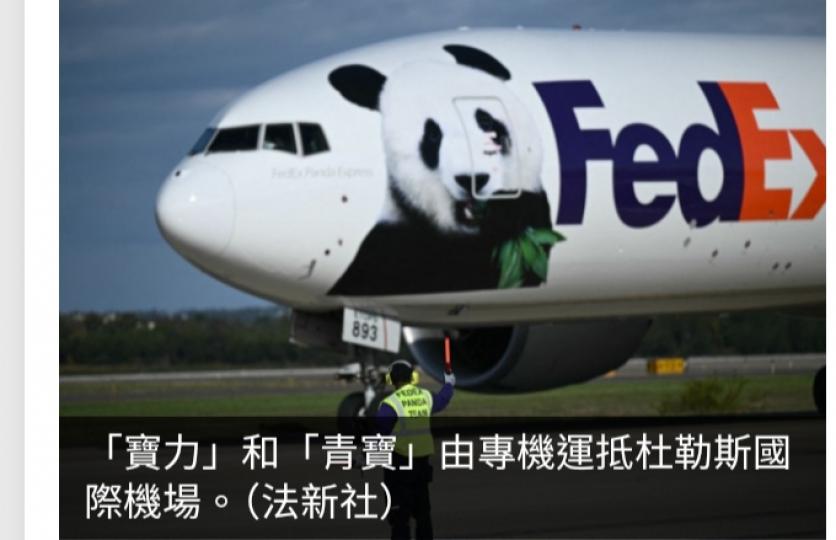 大熊貓「寶力」「青寶」抵達美國　開啟為期10年旅居生活...