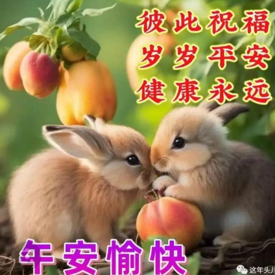 朋友
                     午安！...
