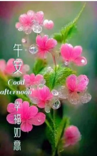 開心
             健康！...