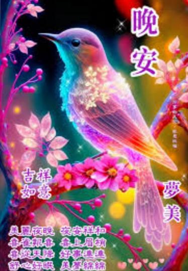 期待美好
明天, 晚安！...