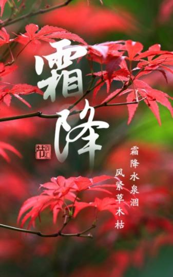 山明水淨夜來霜 
數樹深紅出淺黃...