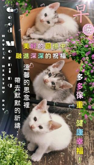 相遇,
                 美好！...