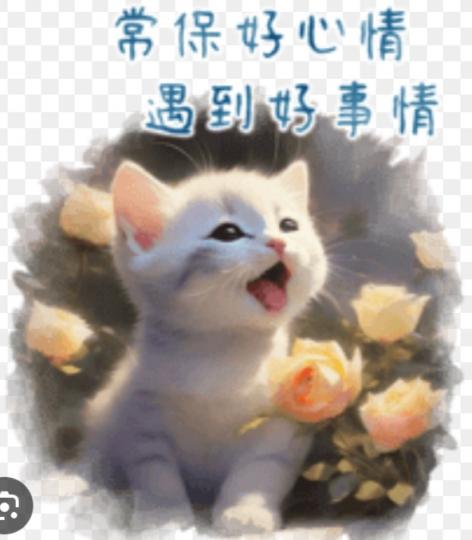 心情好,
            精神足！...